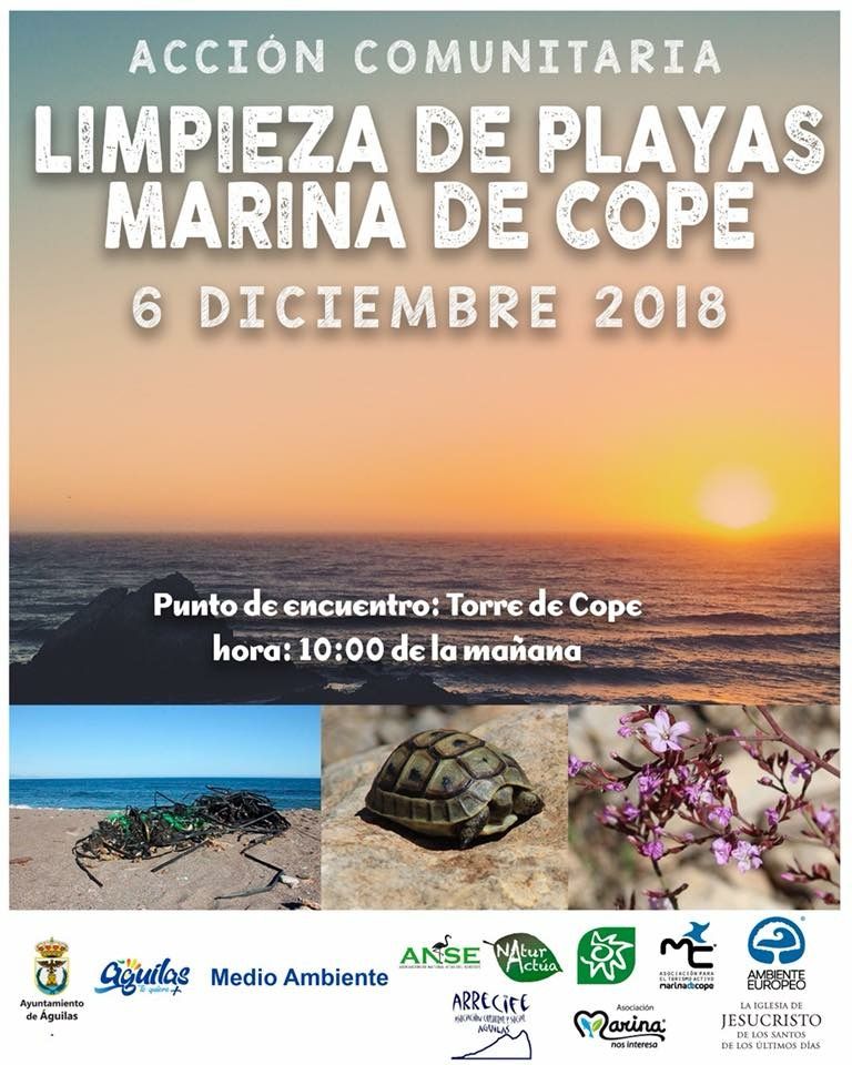 La Concejalía de Medio Ambiente organiza una acción comunitaria de retirada de residuos plásticos