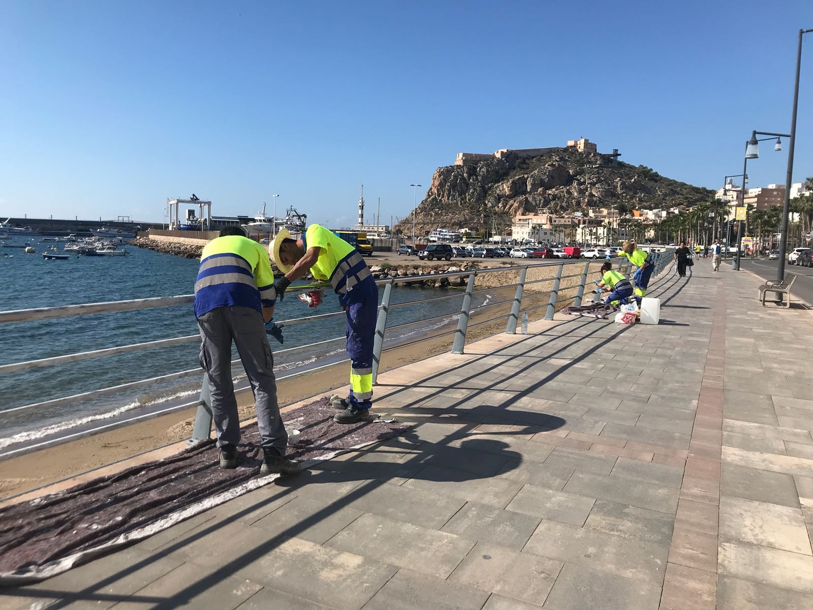 Comienzan los trabajos de mantenimiento de la balaustrada del Paseo Parra