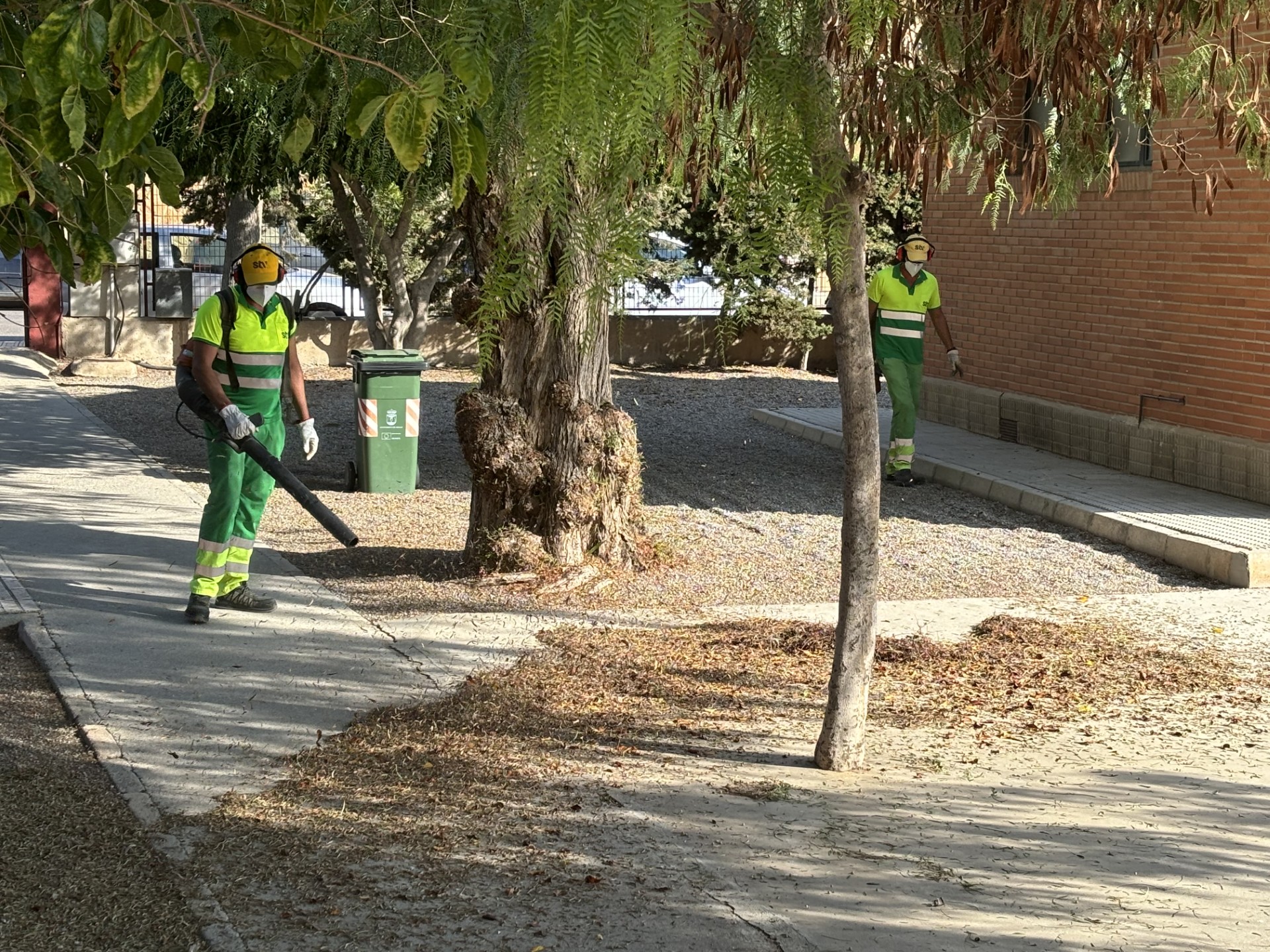 Los servicios de limpieza y jardinería ultiman los trabajos de puesta a punto de los colegios aguileños
