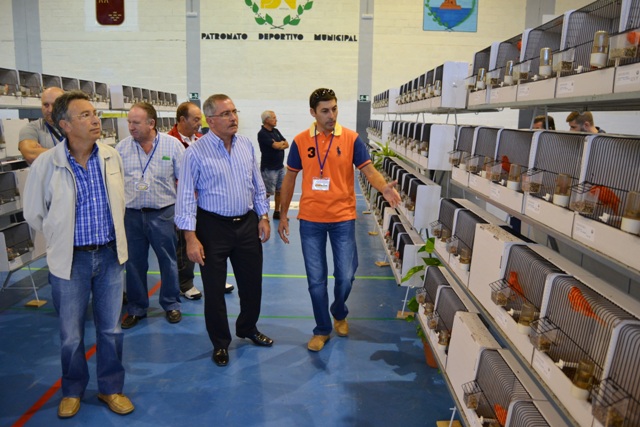 Más de un centenar de criadores y un millar de pájaros participan en el I Campeonato Regional de Ornitología que se celebra en Águilas 