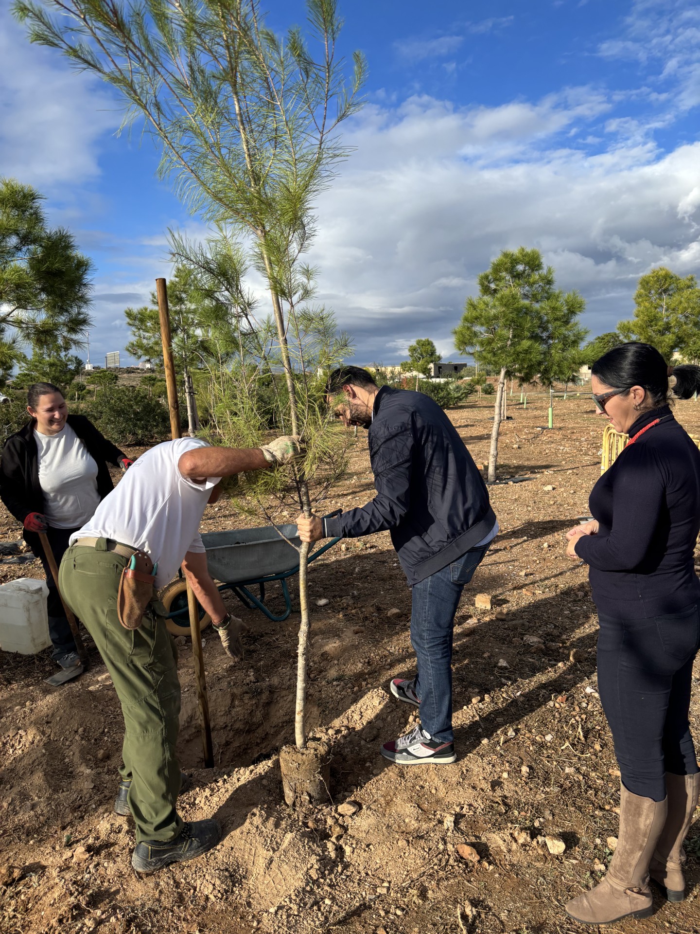 Los participantes en el programa experiencial “Nueva vida para la antigua escombrera municipal y su entorno” llevan a cabo una plantación de 80 ejemplares de pino en varias zonas verdes del municipio