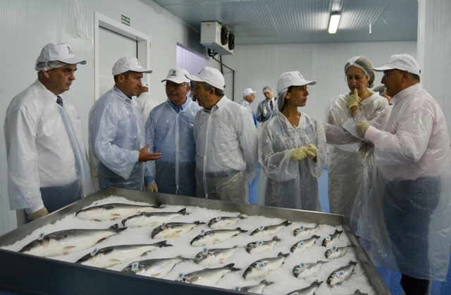 Inaugurada la ampliación de la sala de envasado del Grupo Culmárex en Águilas 