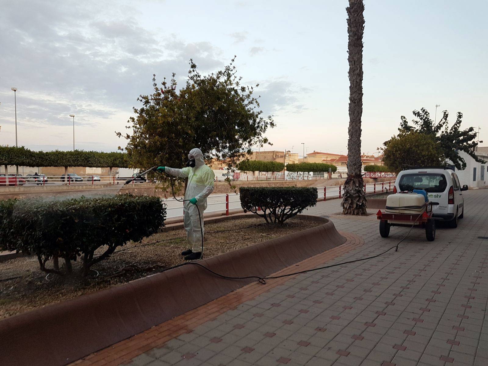 El Ayuntamiento aplica tratamientos fitosanitarios a más de 35.000 unidades arbustivas del municipio