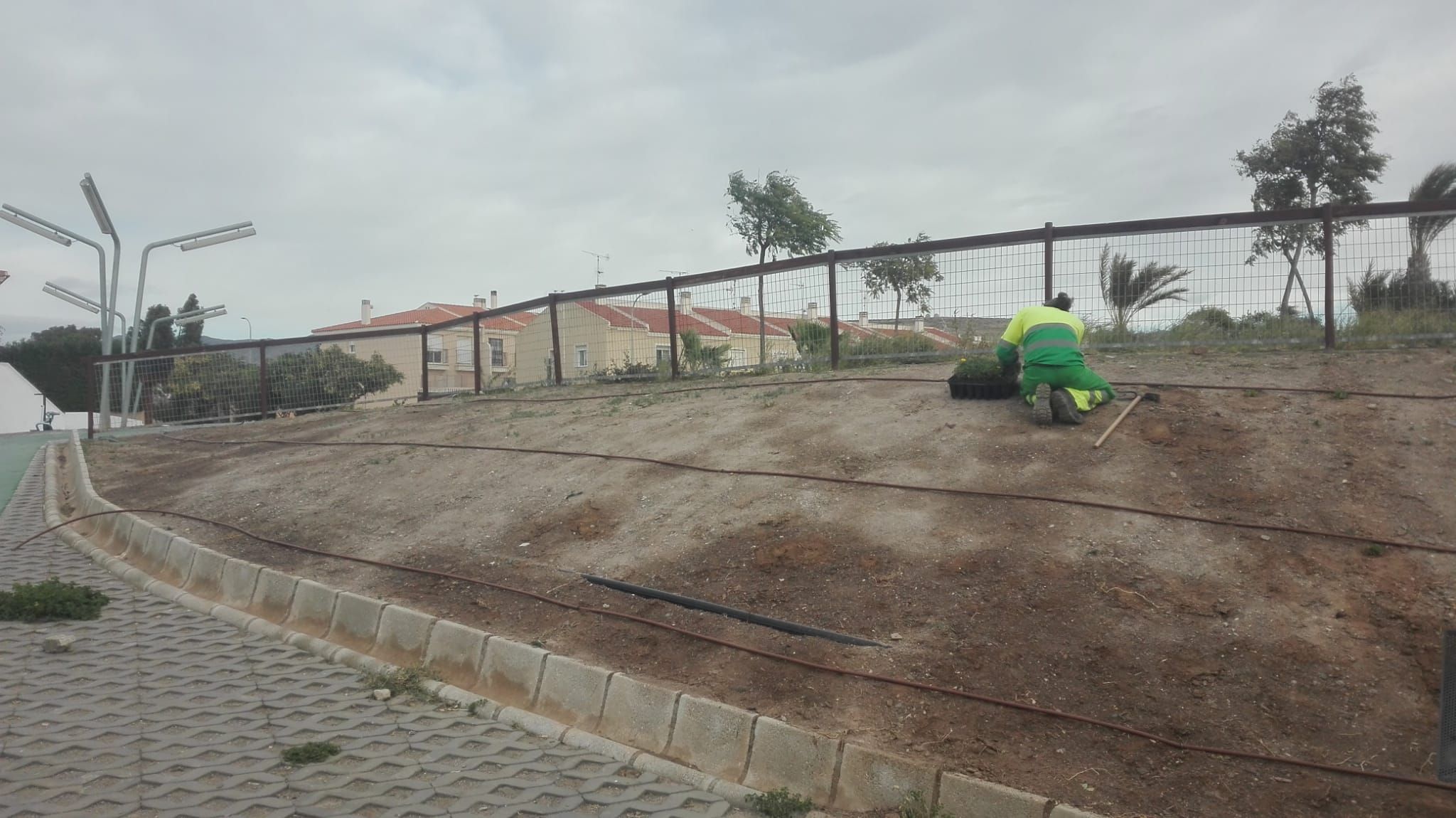 Esta semana concluye la reforestación del parque Virgen de Fátima con más de 2.500 plantas autóctonas