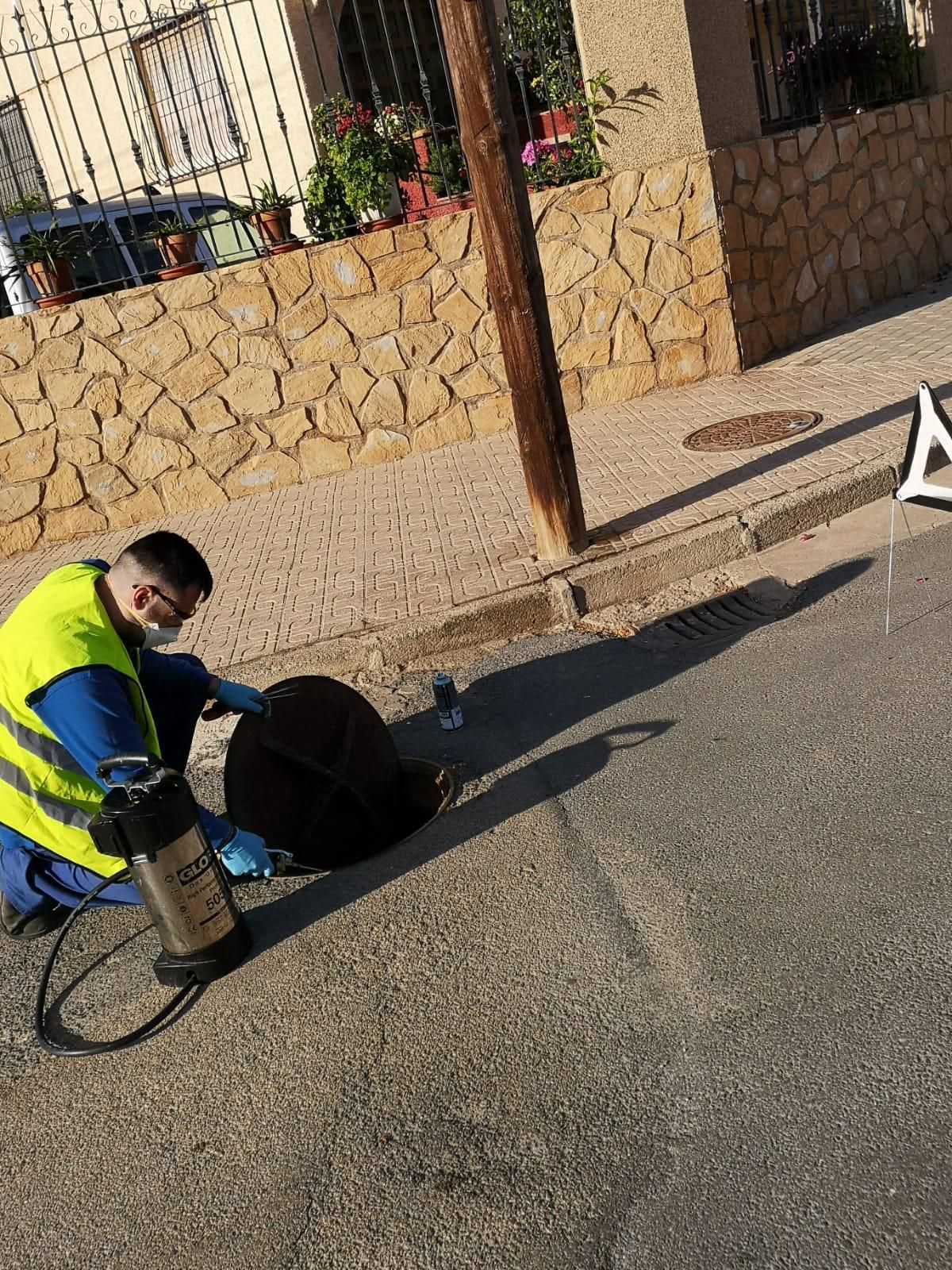 El Ayuntamiento desarrolla un plan de desinsectación en la red de alcantarillado