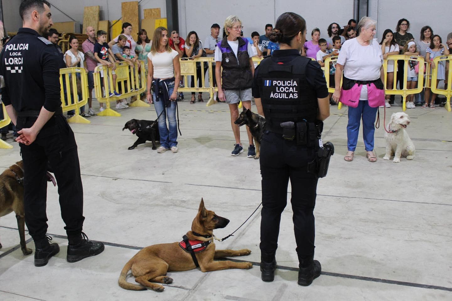  Aguiproan celebra una exposición canina en el Recinto Ferial