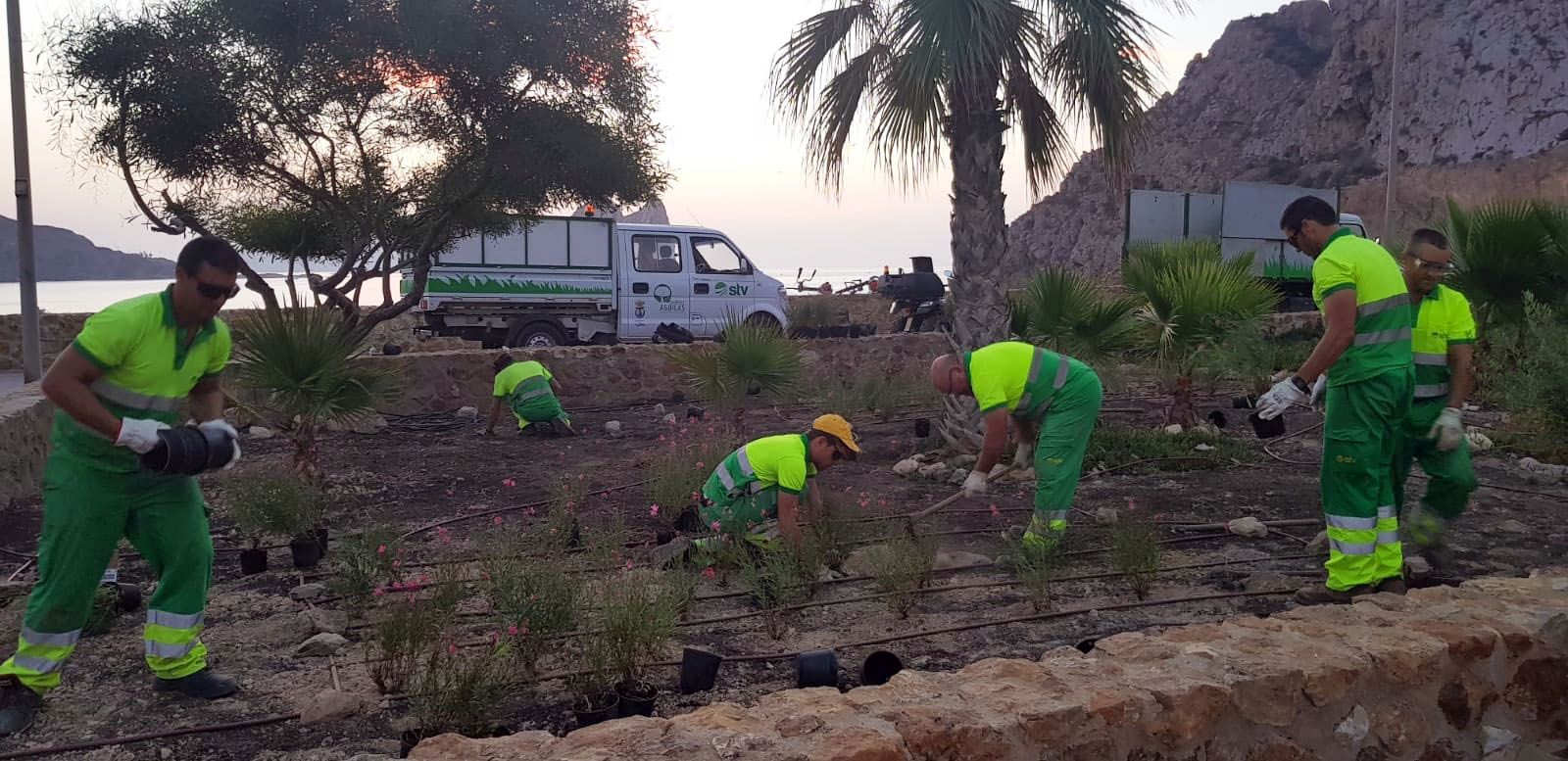 El Ayuntamiento transforma la imagen del mirador de Cocedores con más de 600 plantas