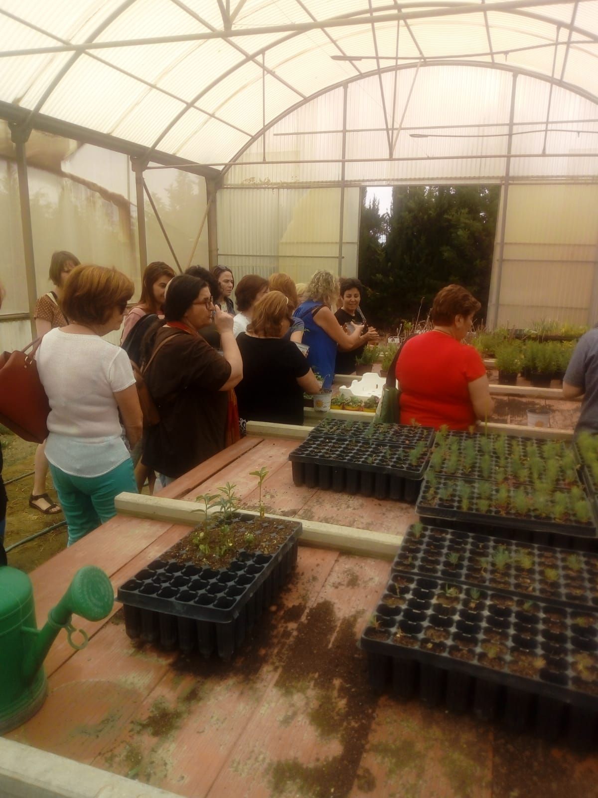 La corriente del Ecofeminismo centra las actividades del Día Mundial del Medio Ambiente