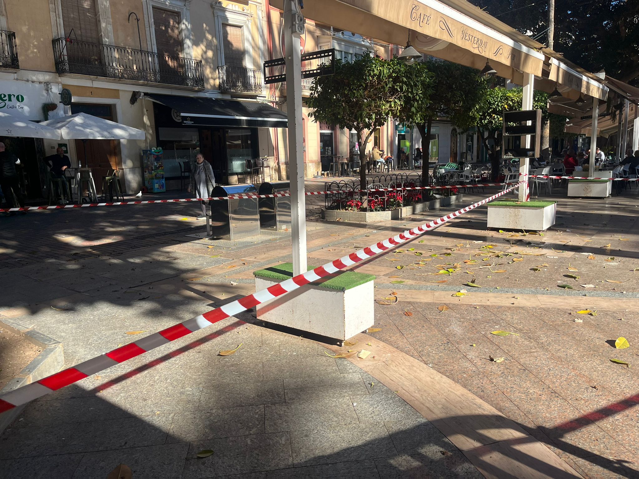 Balizan por seguridad un sector del ficus de La Glorieta