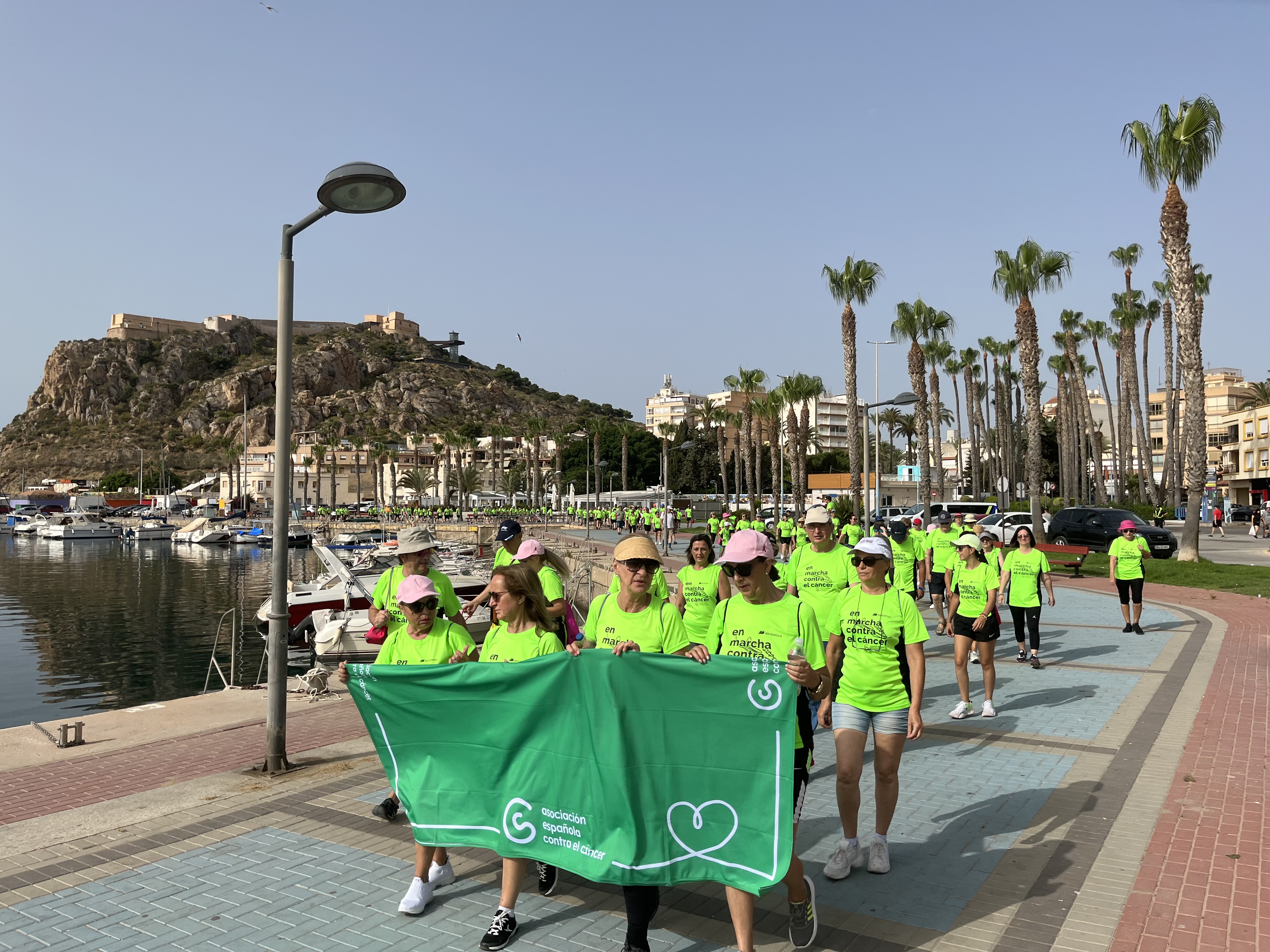 Una multitudinaria marcha verde recorre las calles contra el cáncer