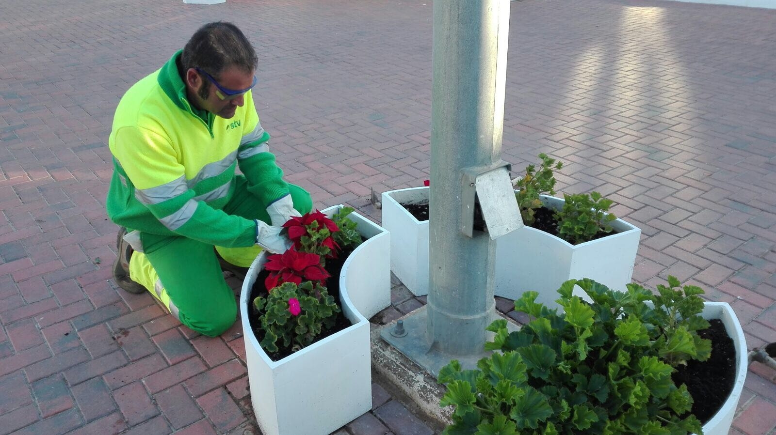 La Concejalía de Cementerios continúa desarrollando actuaciones de mantenimiento y mejora en el camposanto