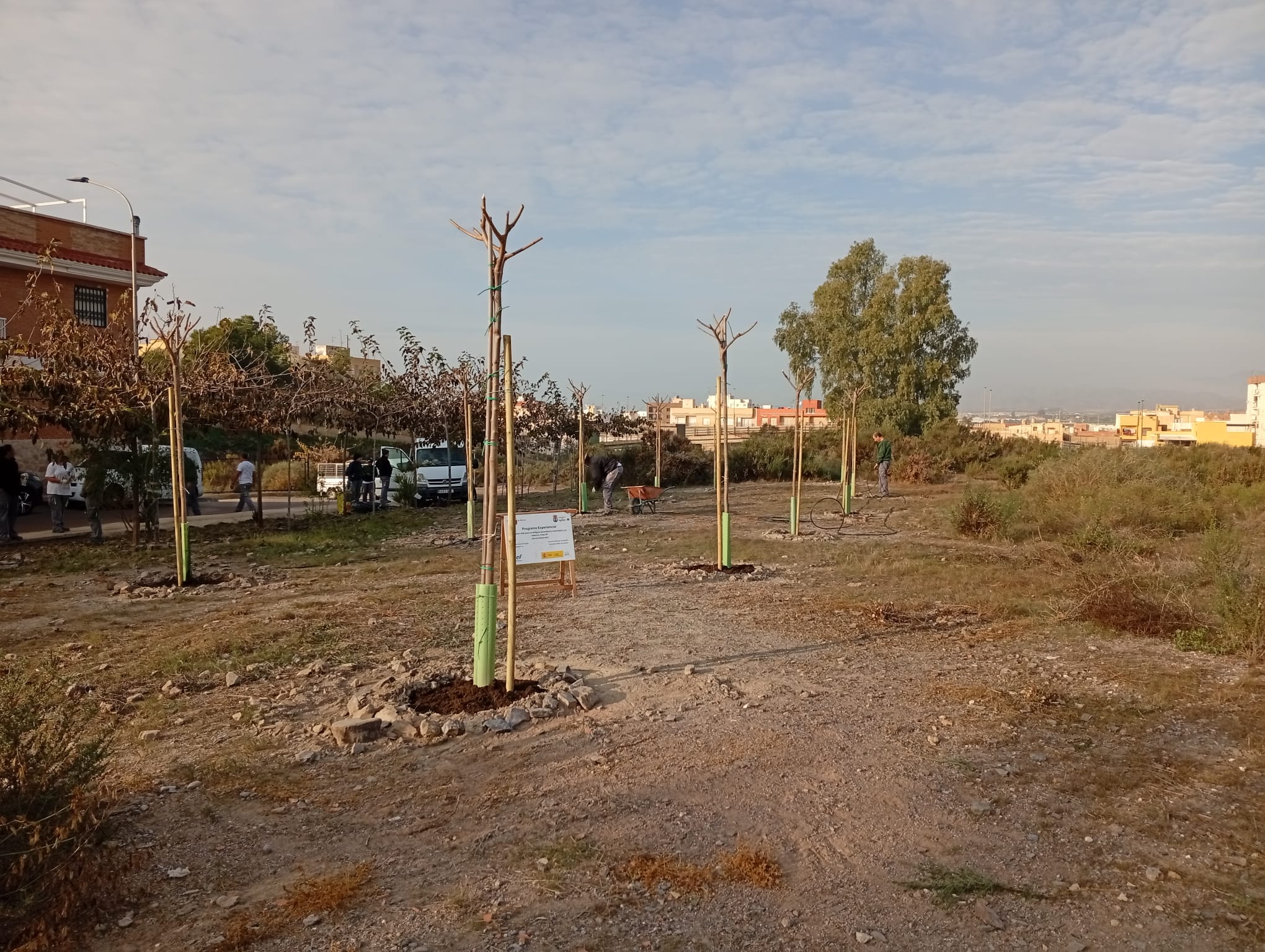 Continúan los trabajos de reforestación a través del programa experiencial “Nueva vida para la antigua escombrera municipal y su entorno” 