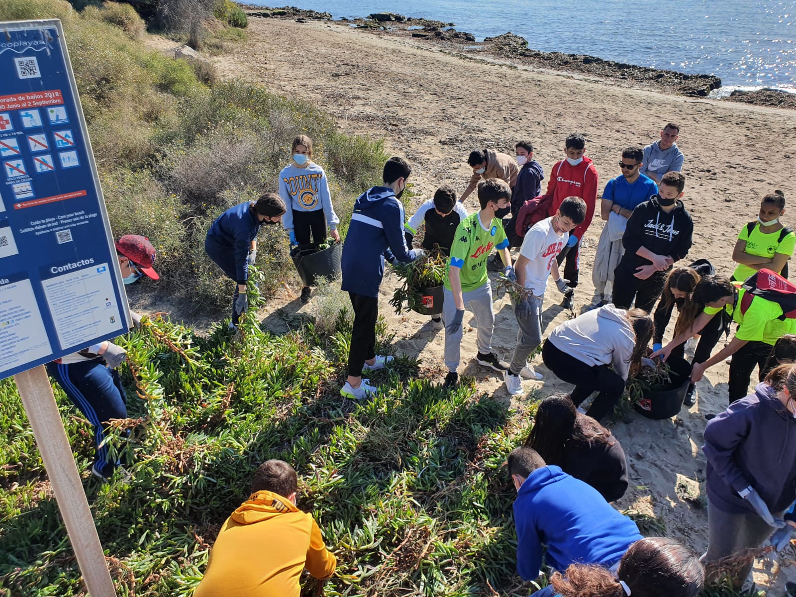 El alumnado del IES Europa participa en una jornada de retirada de la especie exótica invasora uña de gato