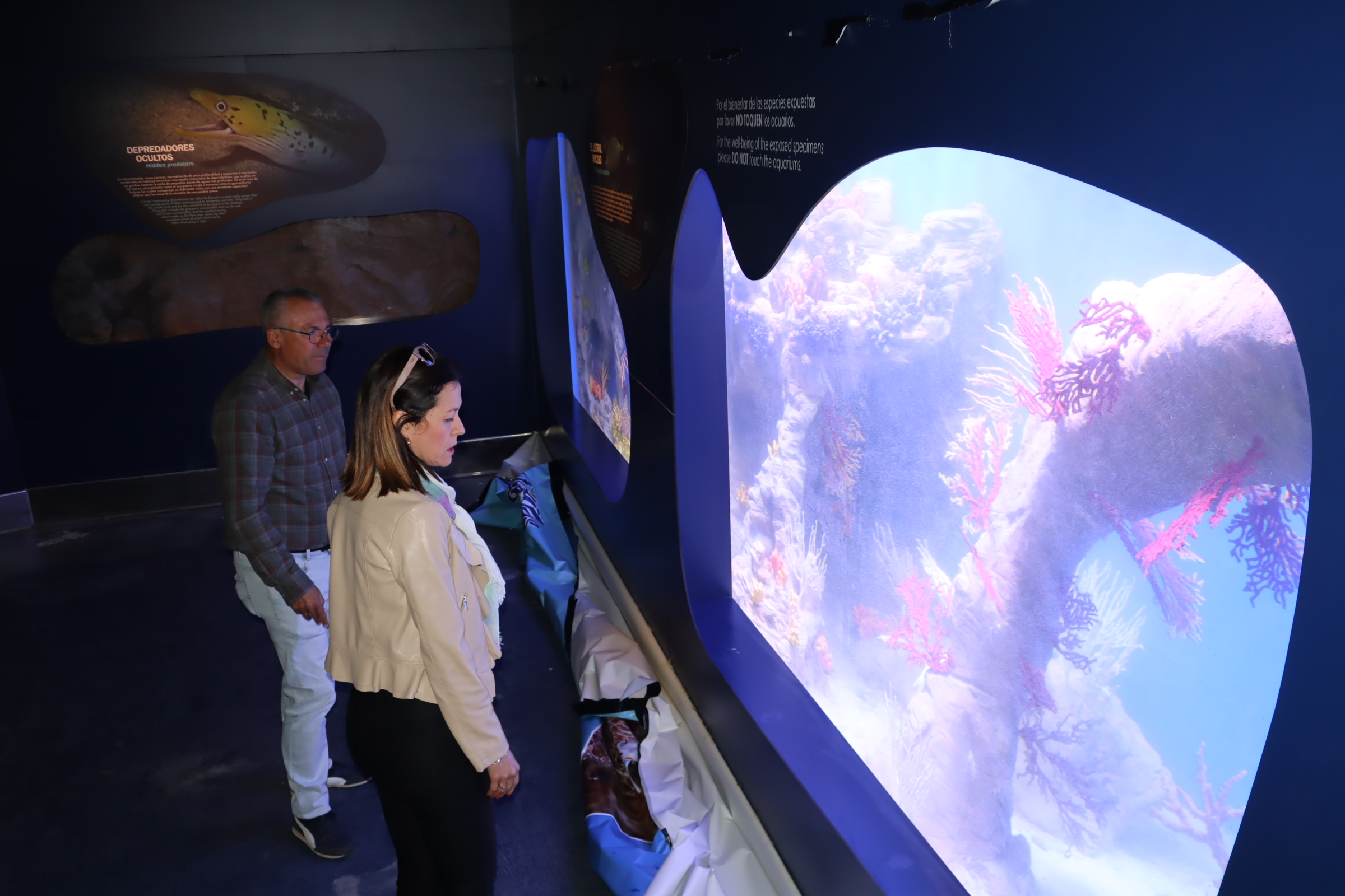 El Ayuntamiento invierte cerca de 50.000 euros en la reparación y mejora del Cimar