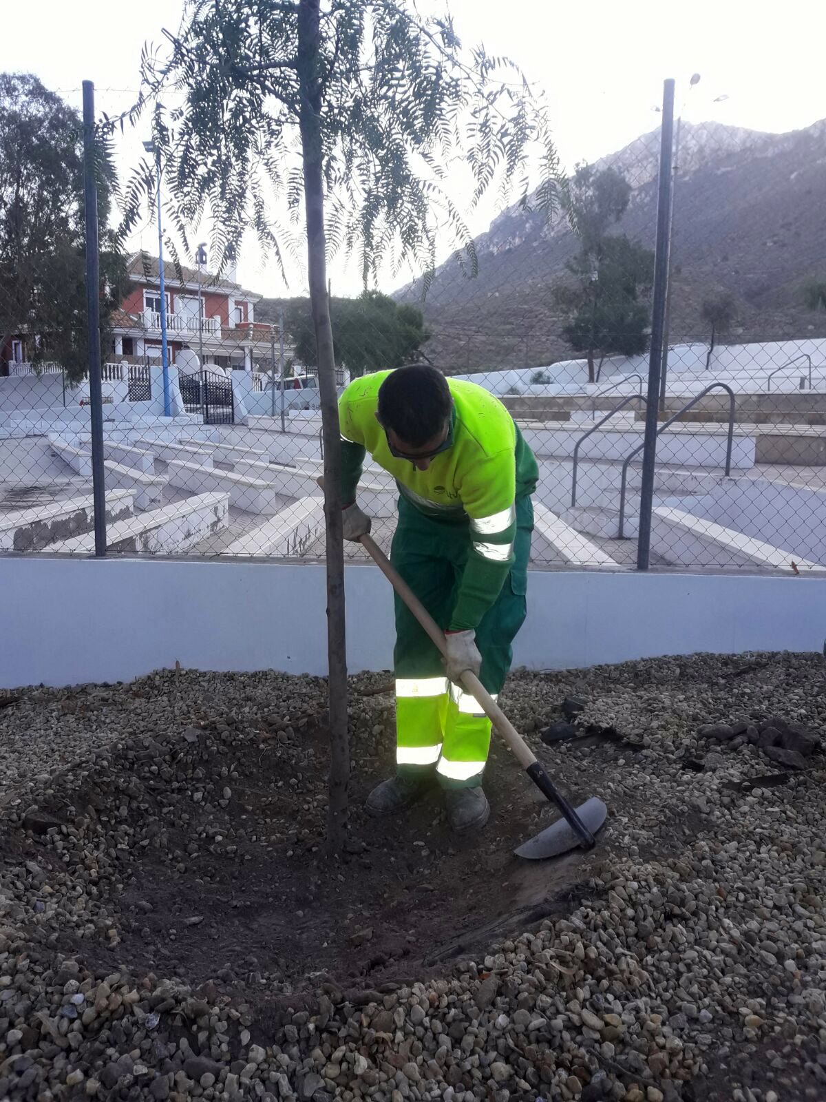 La edil Isabel Fernández sigue apostando por hacer de Águilas un pulmón verde rodeado de naturaleza