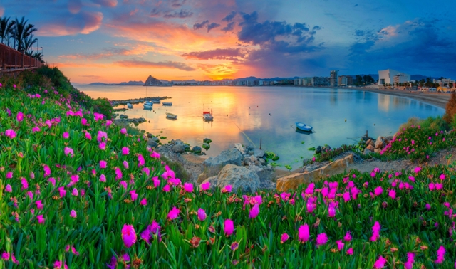 Ya está en marcha la IV edición del concurso de fotografía “Objetivo Águilas”