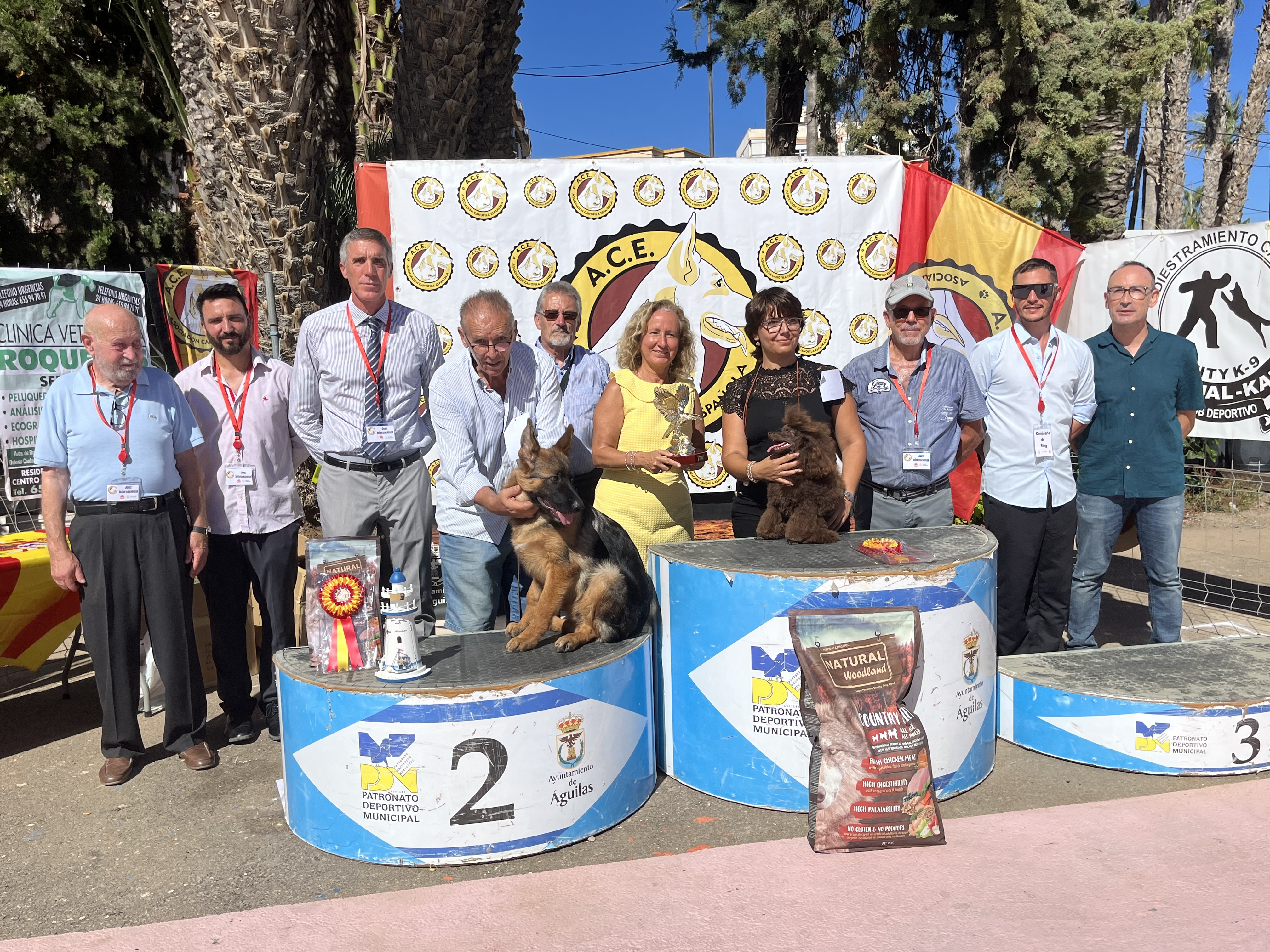 Gran afluencia de público en el Campeonato de España de Belleza Canina