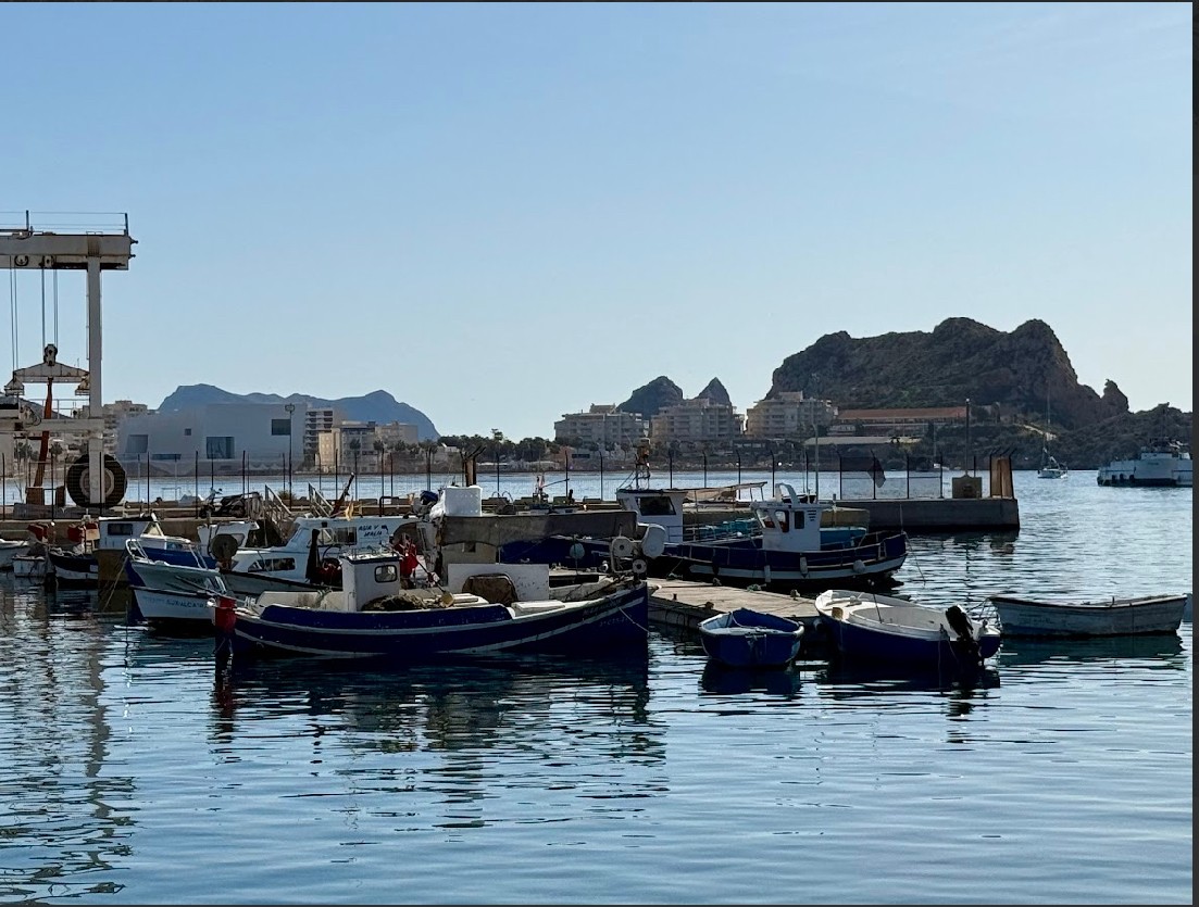 El Ayuntamiento concurre a una convocatoria de ayudas para el fomento de la formación en el sector pesquero