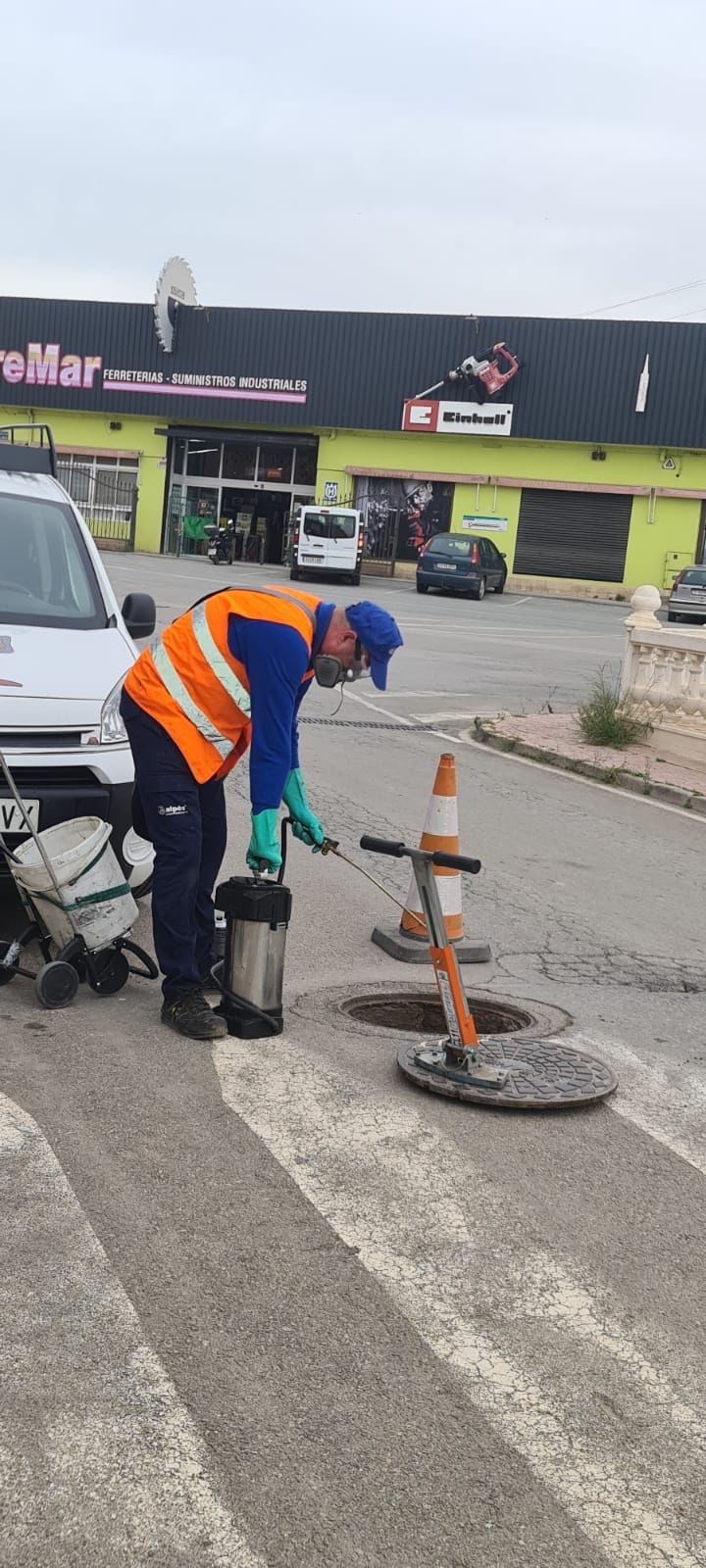El Ayuntamiento inicia un plan de choque contra las cucarachas