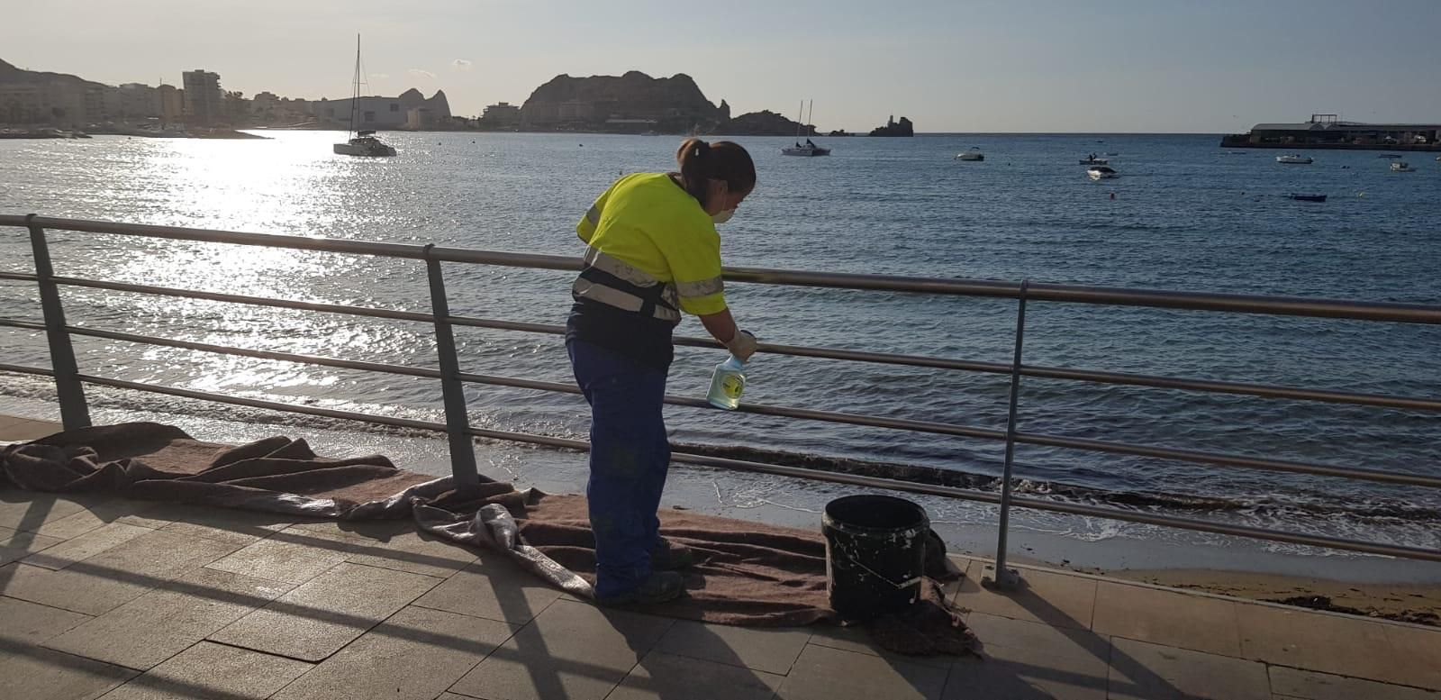 Esta semana han dado comienzo los trabajos de mantenimiento de la balaustrada del Paseo de Parra y Las Delicias 