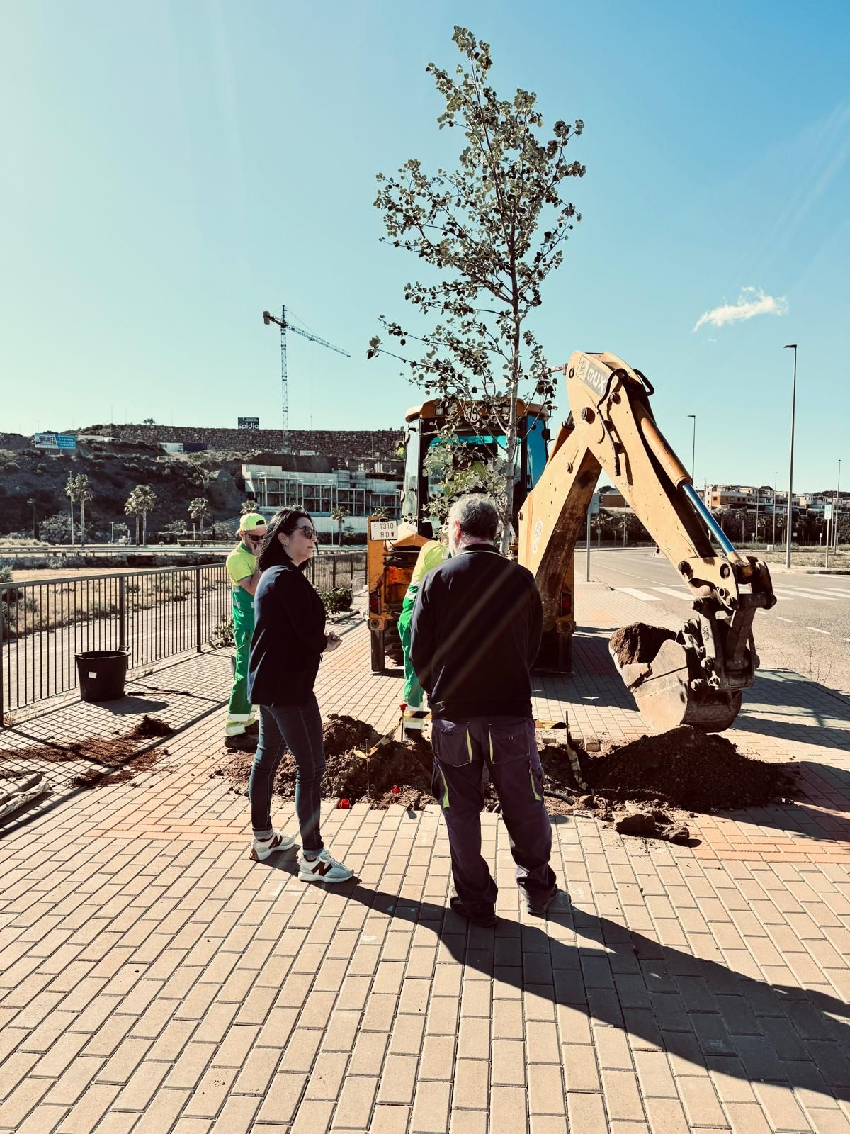 Águilas impulsa una alameda en el entorno de la Rambla de las Culebras para mejorar el entorno urbano