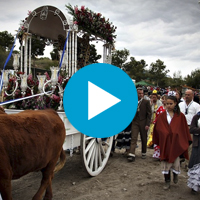 Fiestas Locales de Águilas